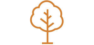 tree icon